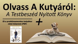 Olvass A Kutyáról: A Testbeszéd Nyitott Könyv