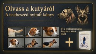 Olvass A Kutyáról: A Testbeszéd Nyitott Könyv