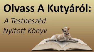 Olvass A Kutyáról: A Testbeszéd Nyitott Könyv