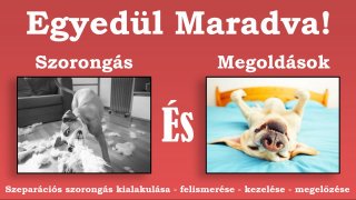 Egyedül Maradva! Szorongás És Megoldások