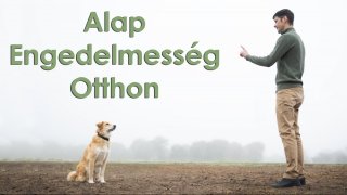 Alap Engedelmesség Otthon