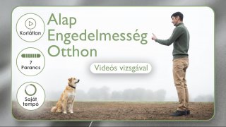 Alap Engedelmesség Otthon
