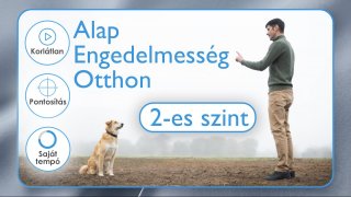 Alap Engedelmesség Otthon 2-es Szint