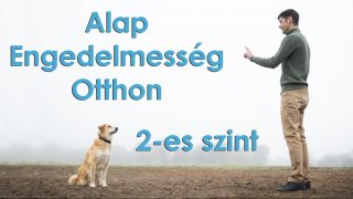 Alap Engedelmesség Otthon 2-es Szint