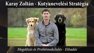 Karay Zoltán kutyanevelési stratégia