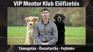Karay Zoltán kutyanevelési stratégia