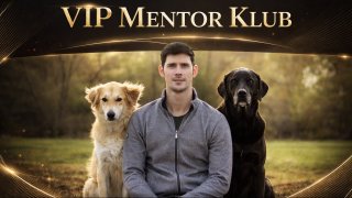 Karay Zoltán kutyanevelési stratégia