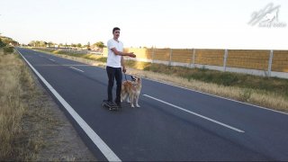Kérdések - Válaszok videó (Kerékpárhoz, Rollerhez, Gördeszkához, Görkorihoz való szoktatás)