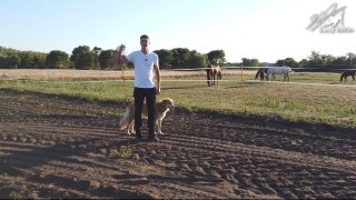Kérdések - Válaszok videó (Idegen ugatása pórázon, Kapun való kimenetel, Megfelelő időzítés, korrigálás)