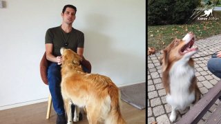 Kérdések - Válaszok videó (Izgatottság-Nyugalom, Fegyelmezés)