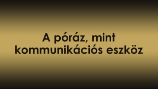 Az egyensúly felé: A póráz, mint kommunikációs eszköz – nem kötél, hanem kapcsolat