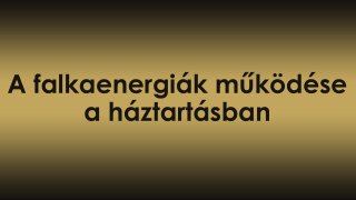 Az egyensúly felé: A falkaenergiák működése a háztartásban – több kutya, több dinamika