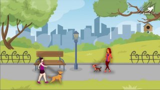 Tippek, Trükkök, Praktikák - Kutyák melletti elhaladás az utcán