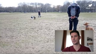 Videós elemzés - Agresszív kutya