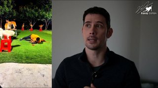 Kérdések - Válaszok videó (kutya lenyomása, ledominálása)