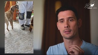 Videós elemzés - Félelem, bizonytalanság, vendég fogadása, odakapás