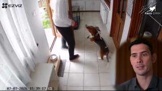 Videós elemzés - Szeparációs szorongás, berögzült rituálé