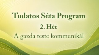Tudatos Séta Program 2. Hét: A Gazda Teste Kommunikál
