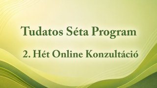 2. Hét: Online Konzultáció