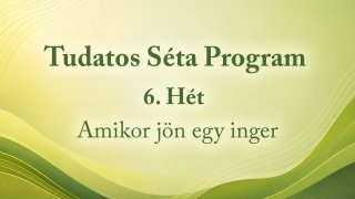 Tudatos Séta Program 6. Hét: Amikor jön egy inger