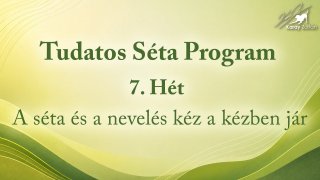 Tudatos Séta Program 7. Hét: A séta és a nevelés kéz a kézben jár
