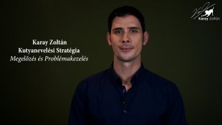 Kutyanevelési Stratégia Bevezető videó