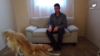 6. Gyakorlat: Mit érez a kutyám?