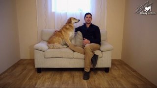 Kérdések - Válaszok videó (Izgatottság, Hiperaktivitás)