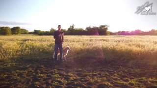 Kérdések - Válaszok videó (Behívás, Fegyelmezés, Határok, Kapcsolat javítása)