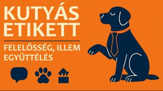 Kutyás Etikett - felelősség, illem, együttélés