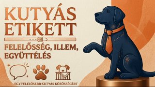 Kutyás Etikett - felelősség, illem, együttélés