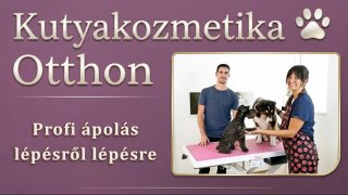 Kutyakozmetika Otthon