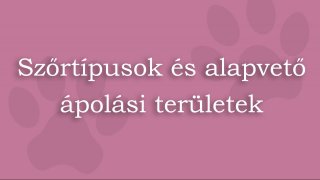 2. Szőrtípusok és alapvető ápolási területek