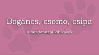 4. Bogáncs csomó csipa - A mindennapi kihívások
