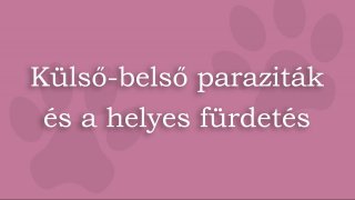 6. Külső belső paraziták és a helyes fürdetés
