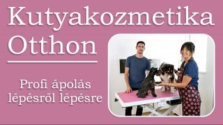Bevezető videó