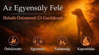 Az Egyensúly Felé: Haladó Önismereti Út Gazdáknak