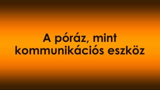 A póráz, mint kommunikációs eszköz – nem kötél, hanem kapcsolat