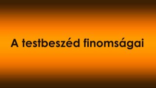 A testbeszéd finomságai – hogyan olvassa a kutya a gazdát