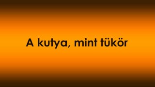 A kutya, mint tükör