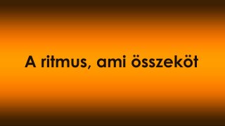 A ritmus, ami összeköt – hogyan hangolódik össze a kutya és a gazda mozgása