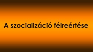 A szocializáció félreértése – nem az számít, hogy hány kutyával találkozik, hanem hogy milyen állapotban