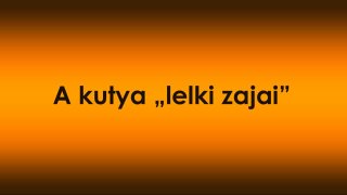 A kutya „lelki zajai” – amikor a viselkedés mögött háttérfeszültség dolgozik