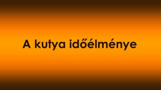 A kutya időélménye