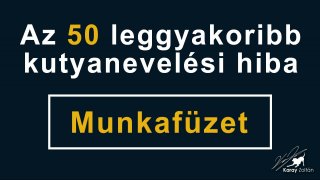 Az 50 Leggyakoribb Kutyanevelési Hiba Munkafüzet