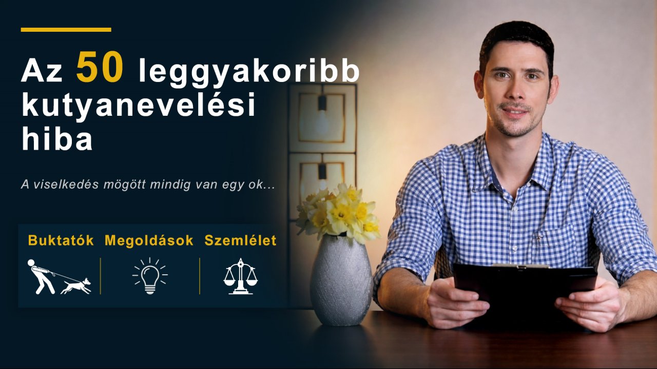 Az 50 Leggyakoribb Kutyanevelési Hiba