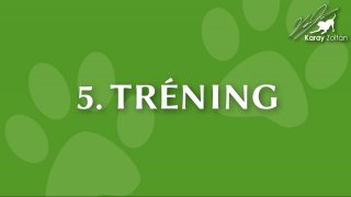 5. Tréning