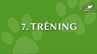 7. Tréning