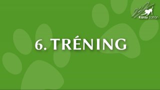 6. Tréning