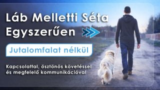 Láb Melletti Séta Egyszerűen